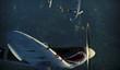 War Thunder вышла в Steam 