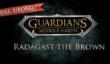 Guardians of Middle-Earth - Radagast the Brown