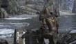 Свежая геймплейная нарезка The Elder Scrolls Online 