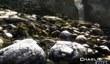 Графические нововведения Call of Duty: Ghosts