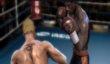 Real Boxing и Flower выйдут на PS Vita