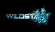 Демонстрация Wildstar