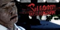 Перезапуск Shadow Warrior для РС и новых консолей этой осенью