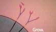 Дата выхода Eufloria HD для Vita