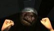 The Dead Linger в Steam Early Access