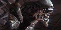 Alien: Isolation на движке собственной разработки The Creative Assembly