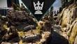 Killzone: Shadow Fall получил режим King of the Hill