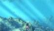 Depth Hunter 2: Deep Dive в Steam