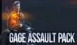 Payday 2 получил Gage Assault Pack