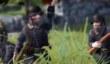 Toy Soldiers: War Chest в следующем году