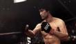 Bruce Lee - бесплатно всем игрокам EA Sports UFC