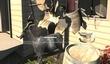 Goat Simulator: смешной игре - смешная дата релиза