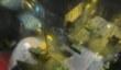 Satellite Reign стартует в Steam Early Access в декабре