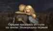 Стартовал предзаказ русской версии Lineage 2 Classic 