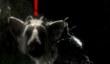 Sony о The Last Guardian: разработка движется очень хорошо