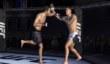 EA Sports UFC для мобильных устройств