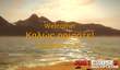 Мультиплеер Just Cause 2 получил новые возможности