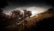 Slender: The Arrival выйдет на PS4 и Xbox One в марте