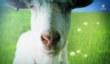 Goat Simulator выйдет на Xbox One и Xbox 360 в апреле