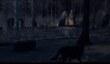Дополнение «Культура длиннобородых» для Total War: Attila