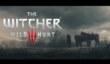 Полчаса The Witcher 3: Wild Hunt