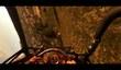 Тизер Dying Light: The Following
