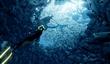 Критики назвали Abzu продолжателем дела Flower и Journey