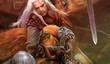 CD Projekt насчет отмены консольного «Ведьмака»