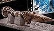 Анонс Uncharted 2: Among Thieves Fortune Hunter Edition