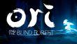 PC-версия Ori and the Blind Forest: Definitive Edition задержится