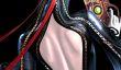 Sega собирается выпустить Bayonetta в Steam?