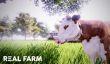 Трейлер и дата выхода симулятора фермера Real Farm