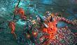 Боевой гном крушит врагов в демонстрации дьяблоида Warhammer: Chaosbane