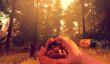 Продажи Firewatch превысили отметку в 500 тысяч копий