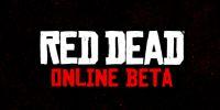 Мультиплеер появится в Red Dead Redemption 2 после релиза