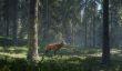 Симулятор охотника theHunter: Call of the Wild появится на PS4 и Xbox One