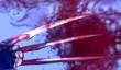 Ninja Gaiden 2 – Инь-Ян для замкнутой цепи
