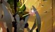 Sundered – метроидвания в духе Лавкрафта