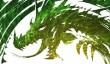 Guild Wars 2: Heart of Thorns ― прыжок в бездну