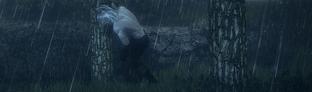 The Witcher 2: Assassins of Kings - эволюция мутанта