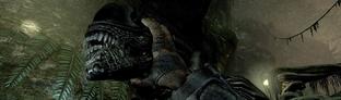 Aliens vs Predator - потрошение строптивого