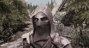 Не только Thief: на механику стелса в The Elder Scrolls и Fallout повлияли десятки игр — по заказу Тодда Говарда проводили исследование
