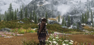 Блогер посчитал количество деревьев в TES V: Skyrim и получил подсказку от Тодда Говарда о контенте The Elder Scrolls VI