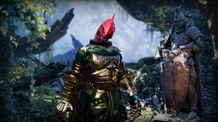 Фанаты просят Larian не учитывать мнение сообщества при создании спутников в Divinity