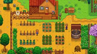 Релиз Stardew Valley на Switch 2 пошёл не по плану — автор пообещал исправления