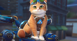 Blizzard попросила не банить Реактивную Кису в Overwatch — игроки считают персонажа слишком сильным