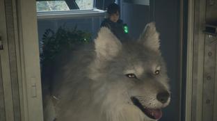 Beast of Reincarnation от создателей Pokemon выйдет в августе. Новый трейлер ролевого экшена