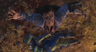 Не Skyrim и не Fallout 4 — Тодд Говард назвал игру, ставшую для него предметом особой гордости