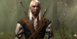 Эротические карты из The Witcher так странно выглядели из-за стеснительного разработчика — он умолчал, что был дальтоником