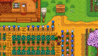 Создатель Stardew Valley спустя 13 лет раскрыл вырезанную карту фермы и показал тизер 1.7 — персонажей для романтических отношений